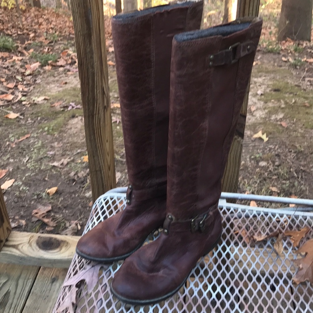 Bcb‎ generation - image 2